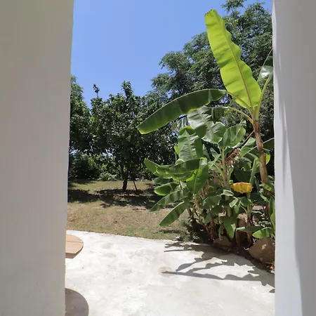 Casa Iodice *